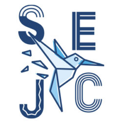 Logo du SEJC Cambrai colibri